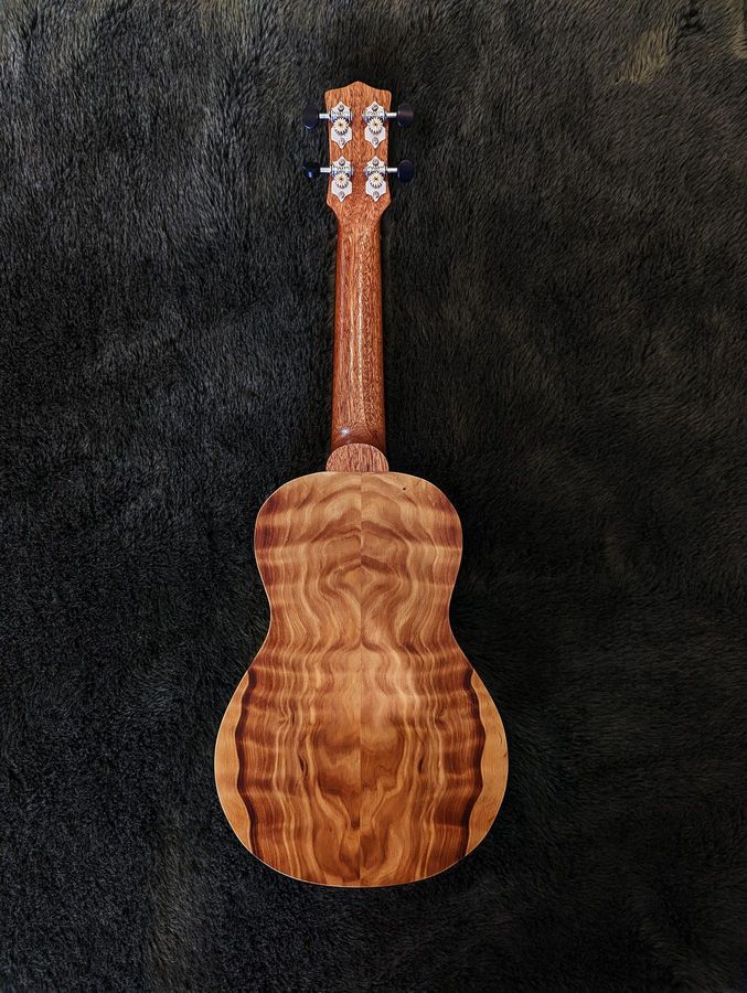 Curly Callitris ukulele back