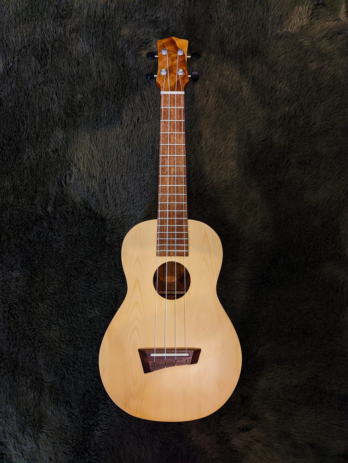 Callitris ukulele, front view, pale Huon Pine soundboard on a dark backdrop