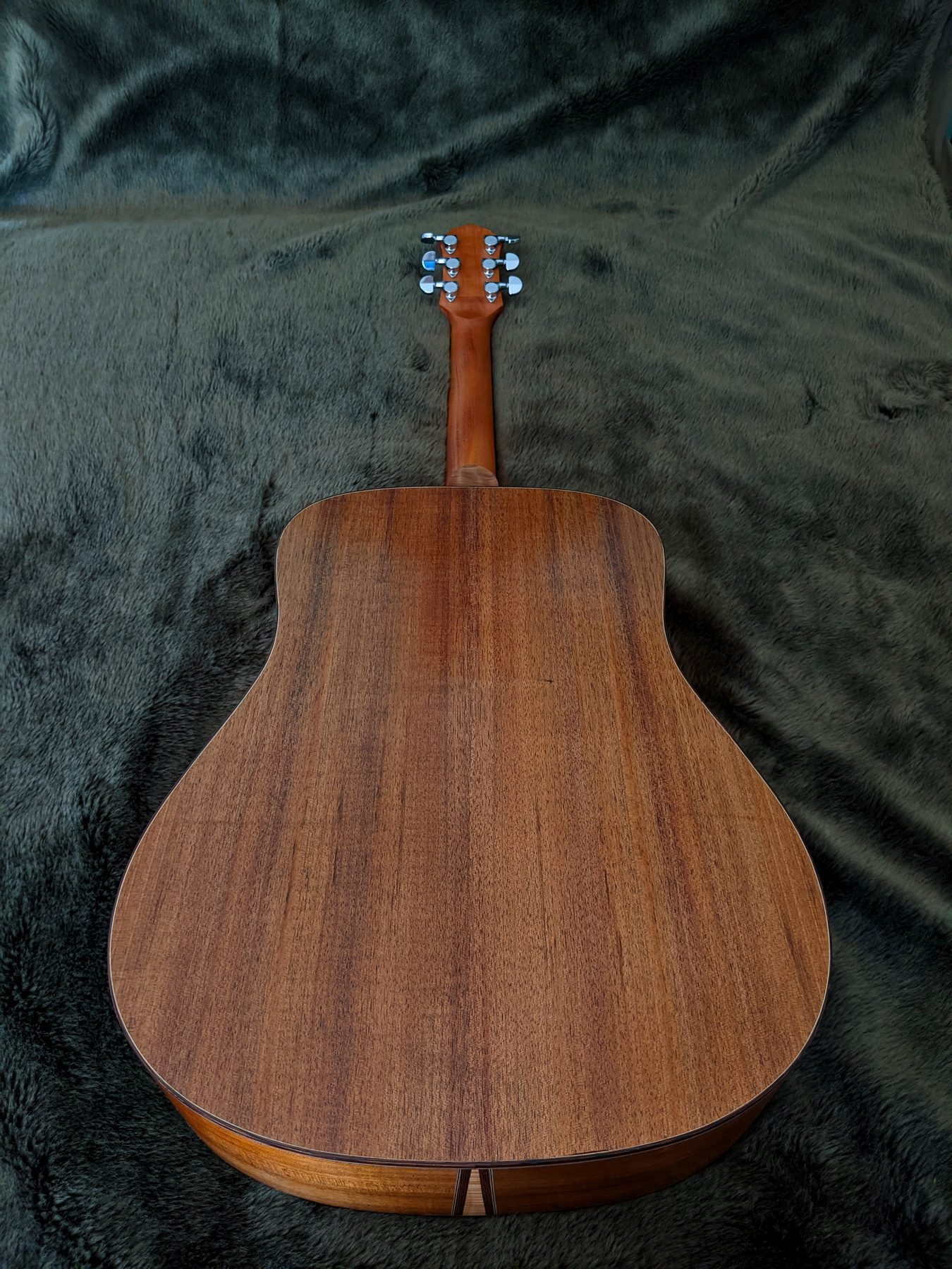 Tasmanian Blackwood back of the dreadnought