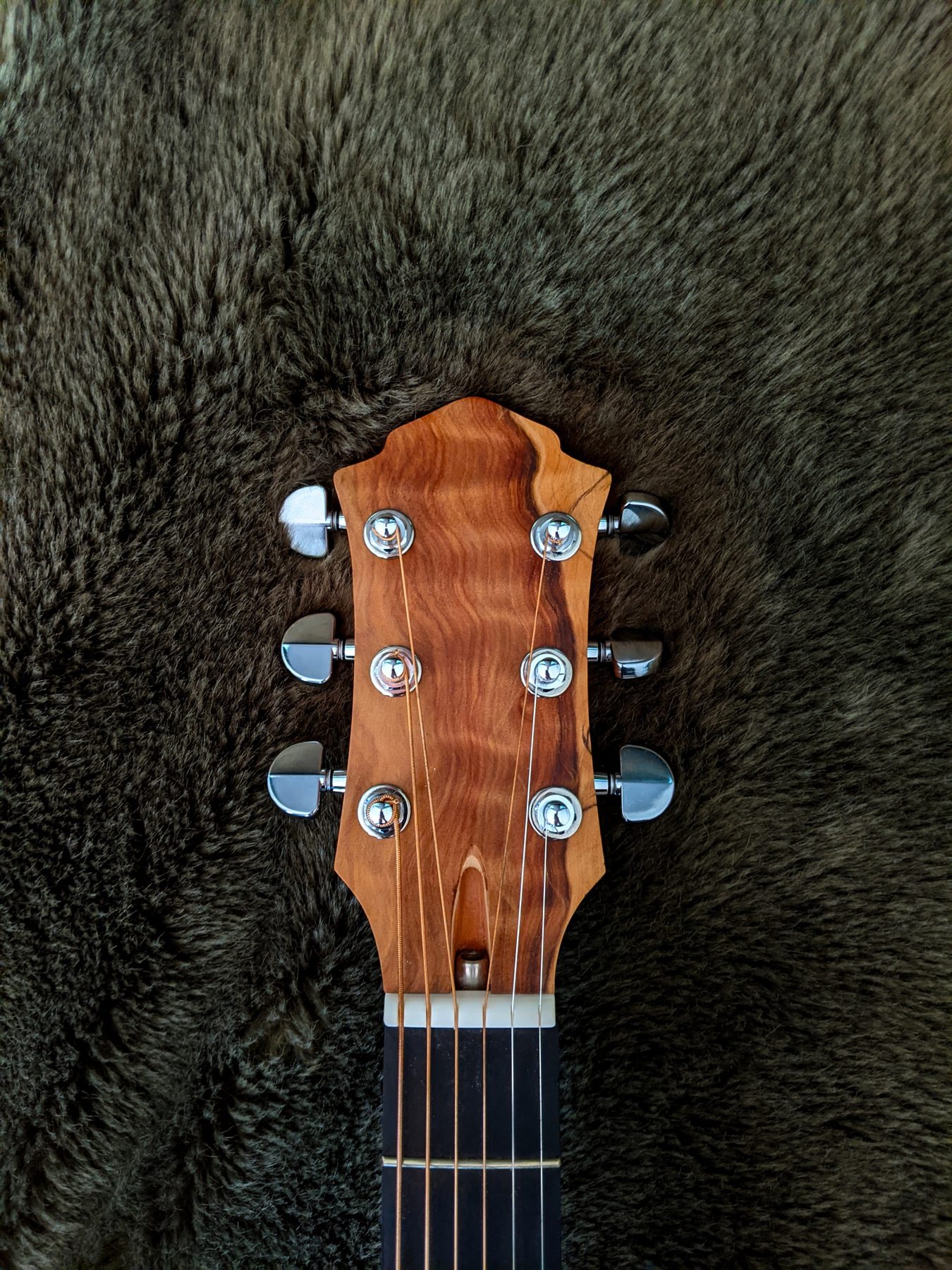 Headstock with curly Callitris veneer