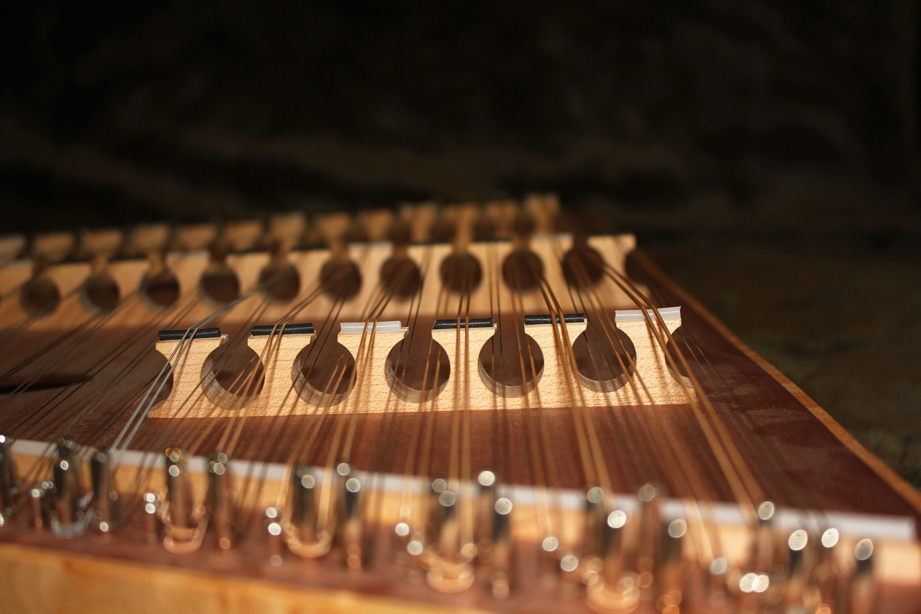 Looking through the bass courses of the dulcimer in low light